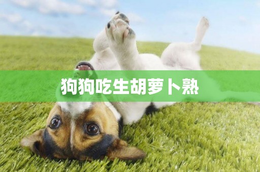 狗狗吃生胡蘿卜熟