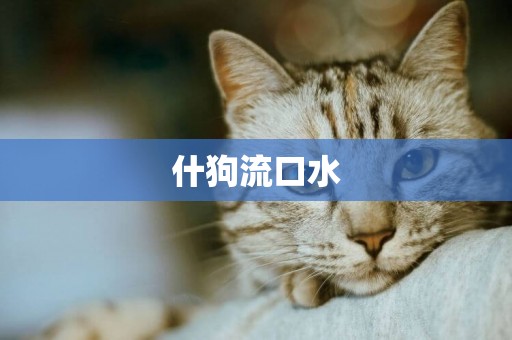 什狗流口水