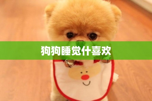 狗狗睡覺什喜歡