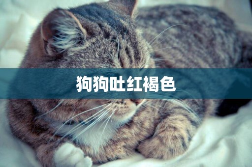 狗狗吐紅褐色