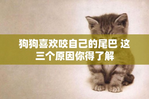 狗狗喜歡咬自己的尾巴 這三個原因你得了解