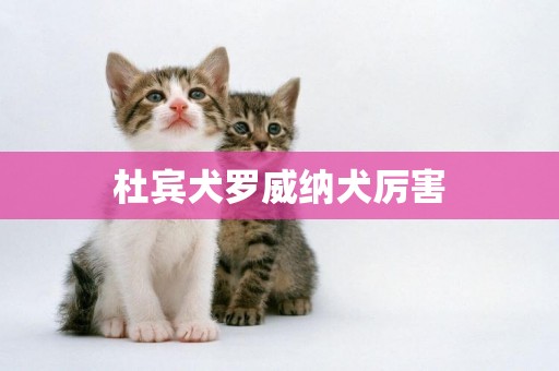 杜賓犬羅威納犬厲害
