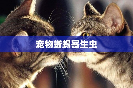 寵物蜥蜴寄生蟲