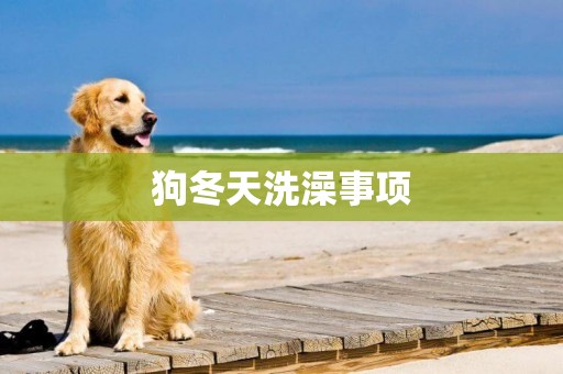 狗冬天洗澡事項