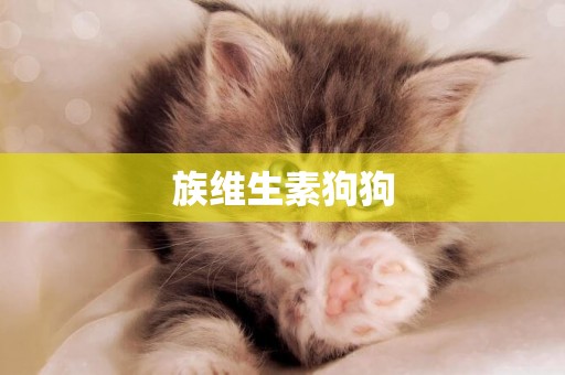 族維生素狗狗