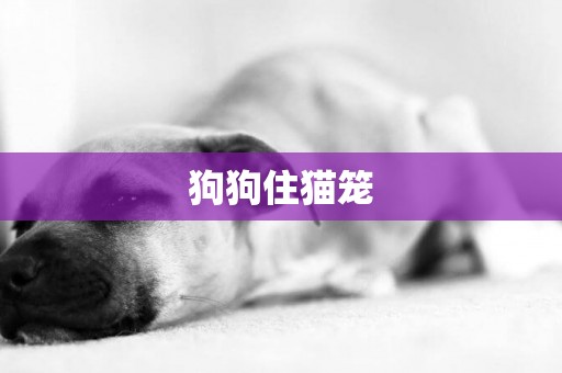 狗狗住貓籠