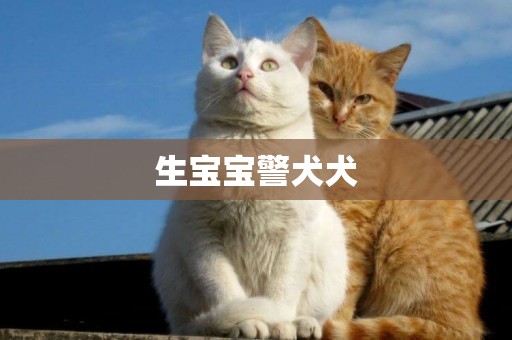 生寶寶警犬犬
