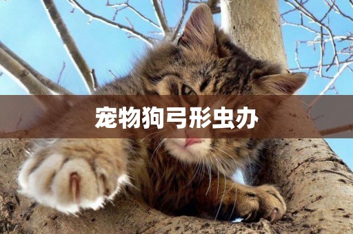 寵物狗弓形蟲辦