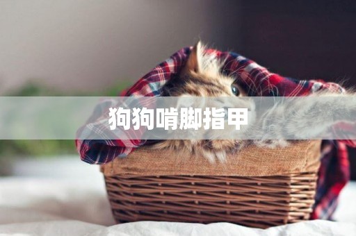 狗狗啃腳指甲