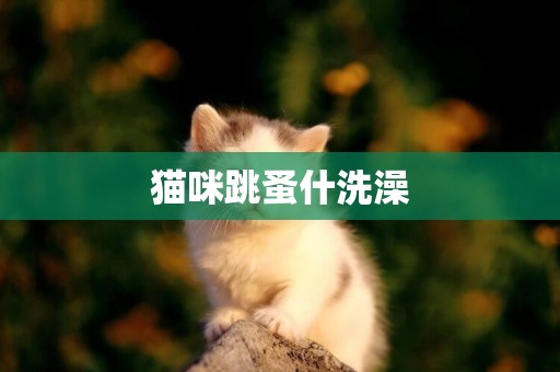 貓咪跳蚤什洗澡