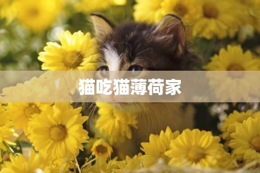 貓吃貓薄荷家