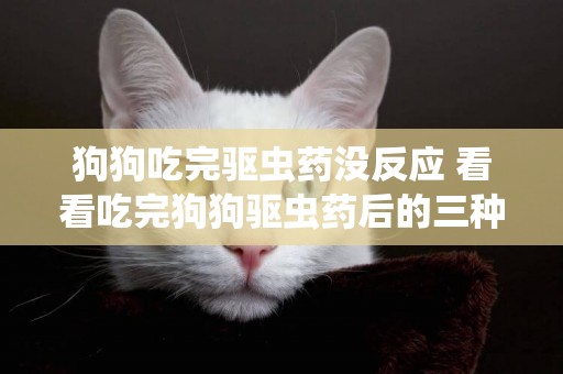 狗狗吃完驅蟲藥沒反應 看看吃完狗狗驅蟲藥后的三種反應