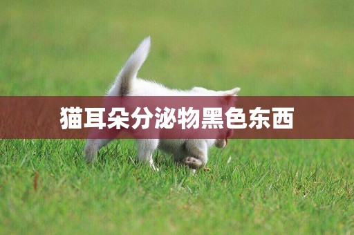 貓耳朵分泌物黑色東西