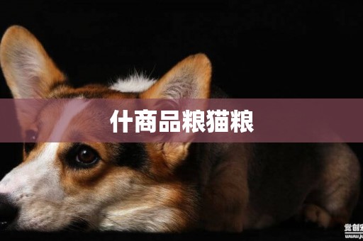 什商品糧貓糧