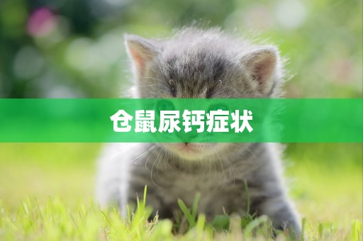 倉鼠尿鈣癥狀