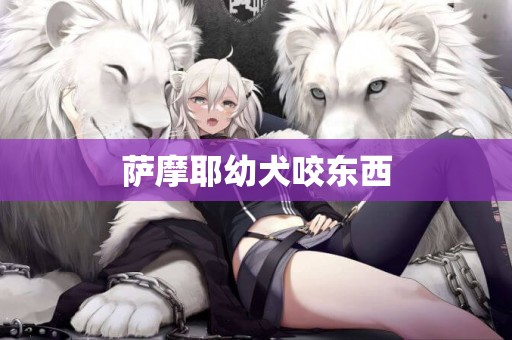 薩摩耶幼犬咬東西