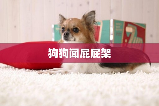 狗狗聞屁屁架