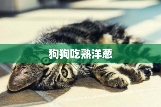 狗狗吃熟洋蔥