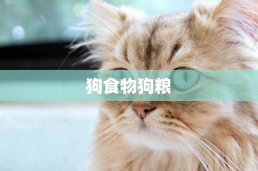 狗食物狗糧
