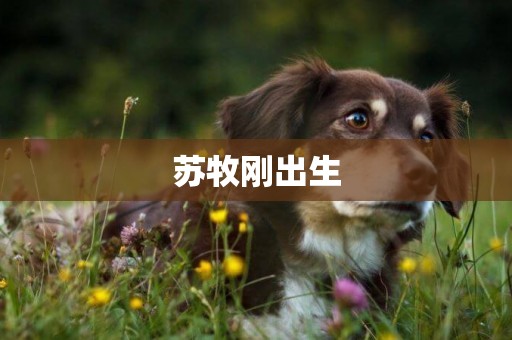 蘇牧剛出生