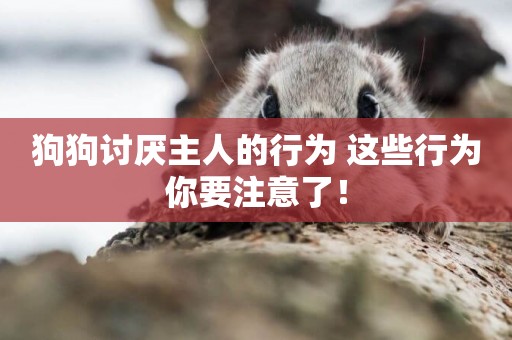 狗狗討厭主人的行為 這些行為你要注意了！