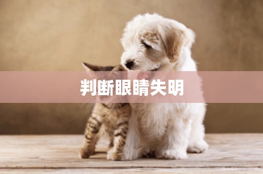 判斷眼睛失明