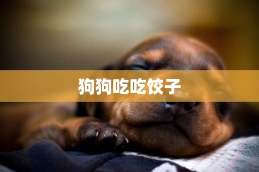 狗狗吃吃餃子