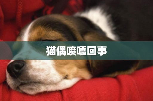 貓偶噴嚏回事