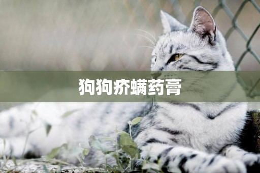 狗狗疥螨藥膏