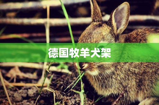 德國牧羊犬架