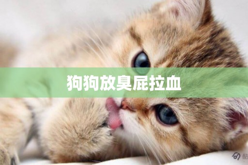 狗狗放臭屁拉血