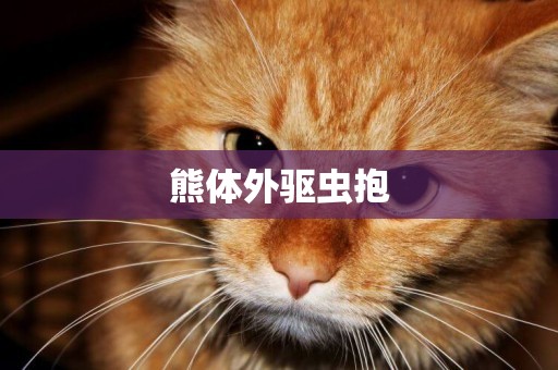 熊體外驅蟲抱