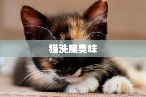 貓洗屎臭味