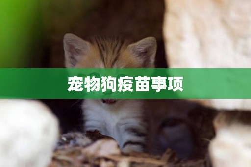 寵物狗疫苗事項
