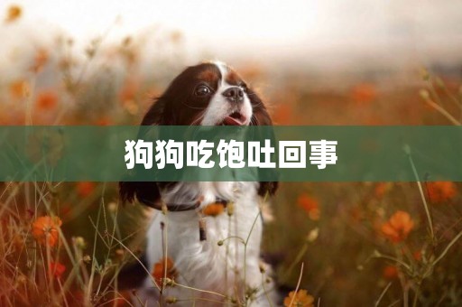 狗狗吃飽吐回事