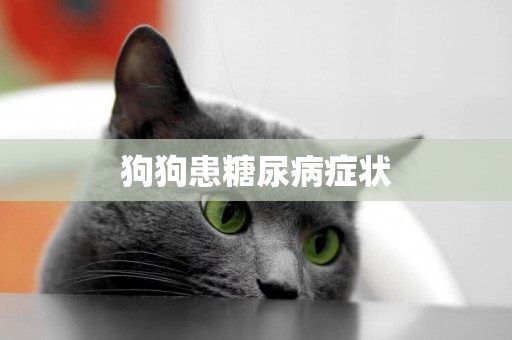 狗狗患糖尿病癥狀
