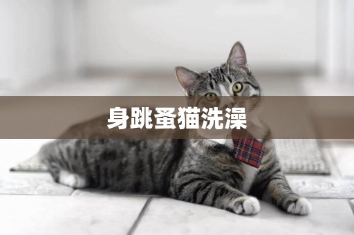 身跳蚤貓洗澡