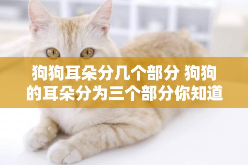 狗狗耳朵分幾個部分 狗狗的耳朵分為三個部分你知道嗎