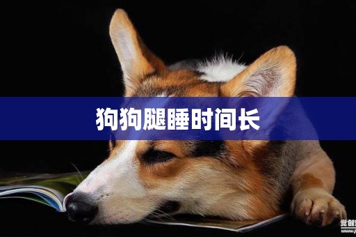 狗狗腿睡時間長