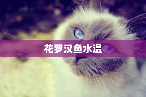 花羅漢魚水溫