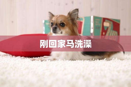 剛回家馬洗澡
