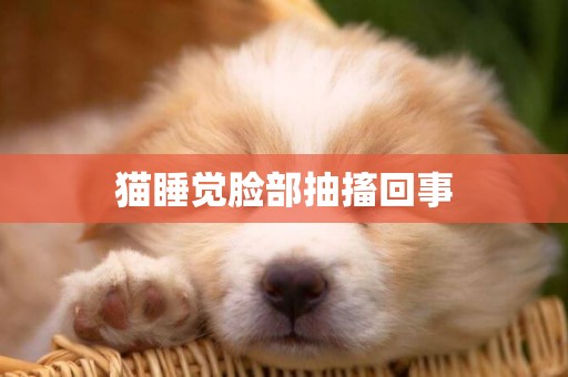 貓睡覺臉部抽搐回事
