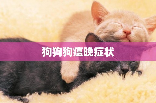 狗狗狗瘟晚癥狀