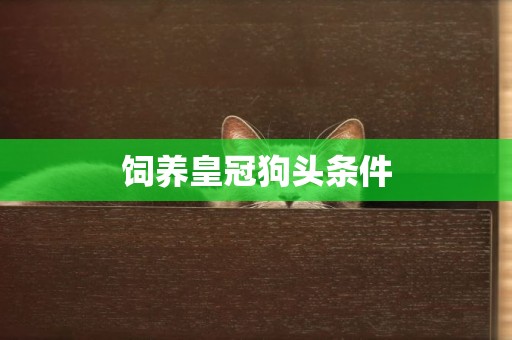 飼養皇冠狗頭條件