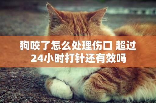 狗咬了怎么處理傷口 超過24小時打針還有效嗎