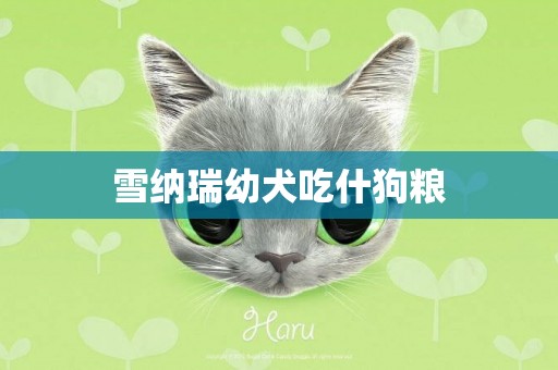 雪納瑞幼犬吃什狗糧