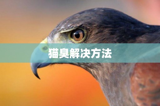 貓臭解決方法