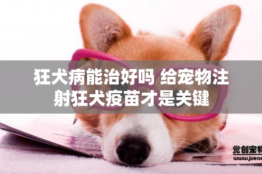 狂犬病能治好嗎 給寵物注射狂犬疫苗才是關鍵
