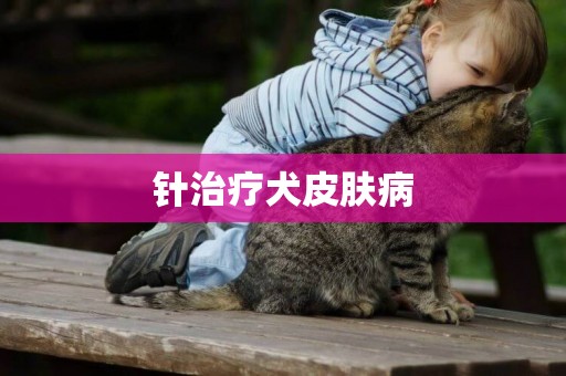 針治療犬皮膚病