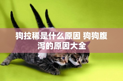 狗拉稀是什么原因 狗狗腹瀉的原因大全